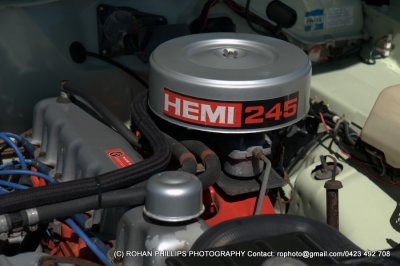 DSC_6732.jpg