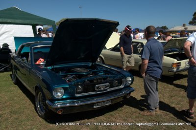DSC_6735.jpg