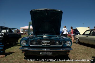 DSC_6737.jpg