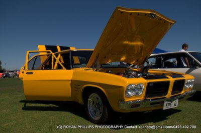 DSC_6764.jpg