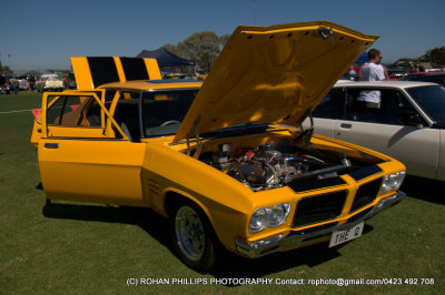 DSC_6767.jpg