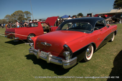 DSC_6783.jpg