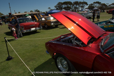 DSC_6786.jpg