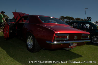 DSC_6787.jpg