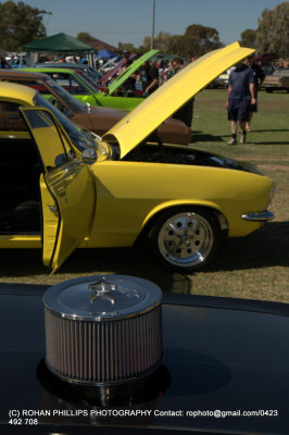 DSC_6873.jpg
