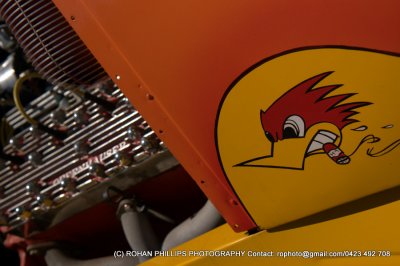 DSC_6944.jpg