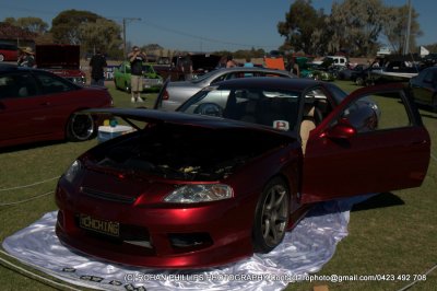 DSC_7023.jpg