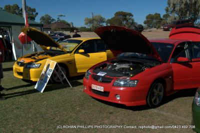 DSC_7126.jpg