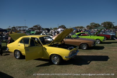 DSC_7137.jpg