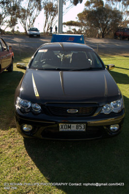 DSC_7193.jpg