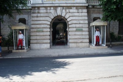 Guards at Government Building