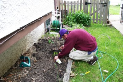 Planting vegetables