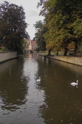 IMG06753.jpg