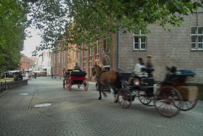 IMG06761.jpg