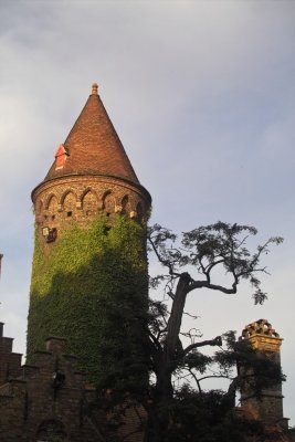 IMG06796.jpg