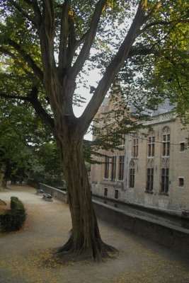 IMG06811.jpg
