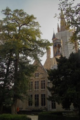 IMG06813.jpg
