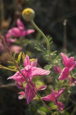 IMG07224.jpg