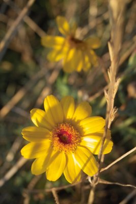 IMG07232.jpg
