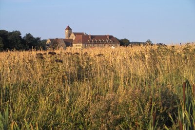 IMG07271.jpg