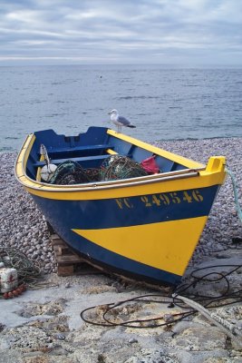 IMG07182.jpg