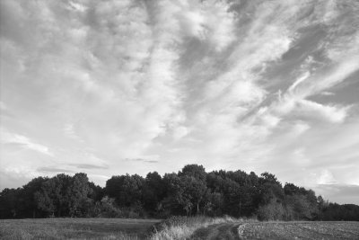 Plateau de SACLAY (France)