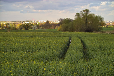 Entre VIlliers et le Rocher de Saulx