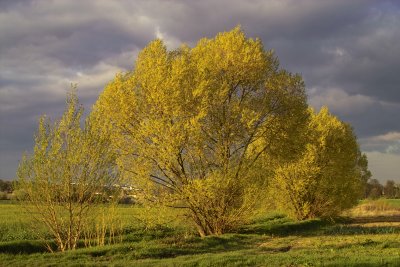 Entre VIlliers et le Rocher de Saulx