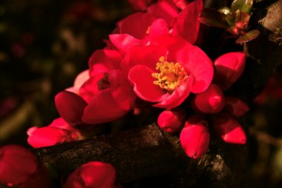 IMG00861.jpg