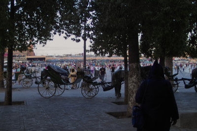 IMG02728.jpg