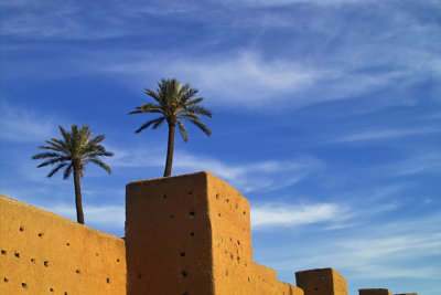 IMG02800.jpg