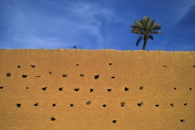 IMG02806.jpg