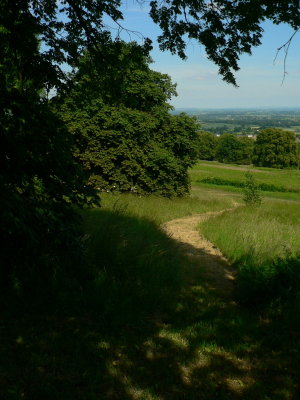 Malvern discovery