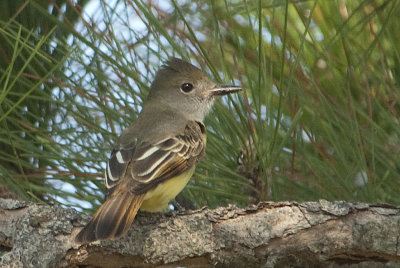GCFL-25-Sep-2012-Ft.-Morgan-Baldwin-Co.-AL-GDJ-0088.jpg