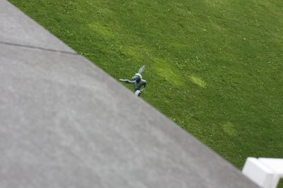 g1/40/939440/3/126830645.ysxaaCGm.jpg