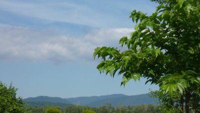 11: Ligne Bleue des Vosges blues