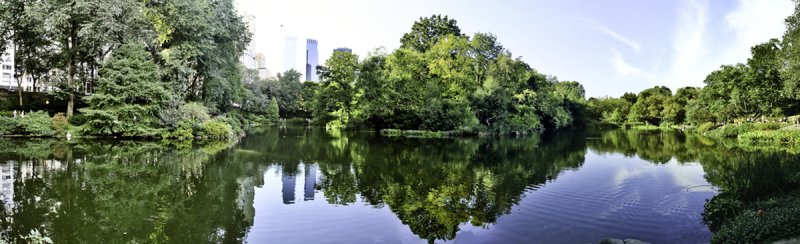 Central Park