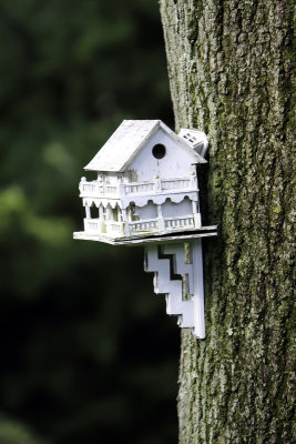 Bird Houses