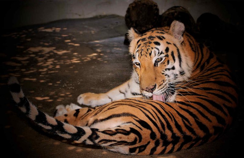 Baluarte, Vigan, Ilocos Sur, Philippines