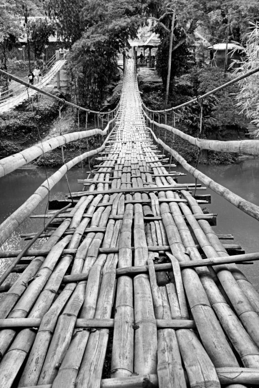 Bamboo Bridge Bohol.jpg