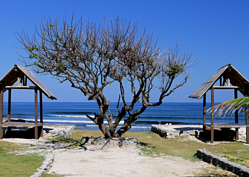 Pagudpod Shoreline.jpg