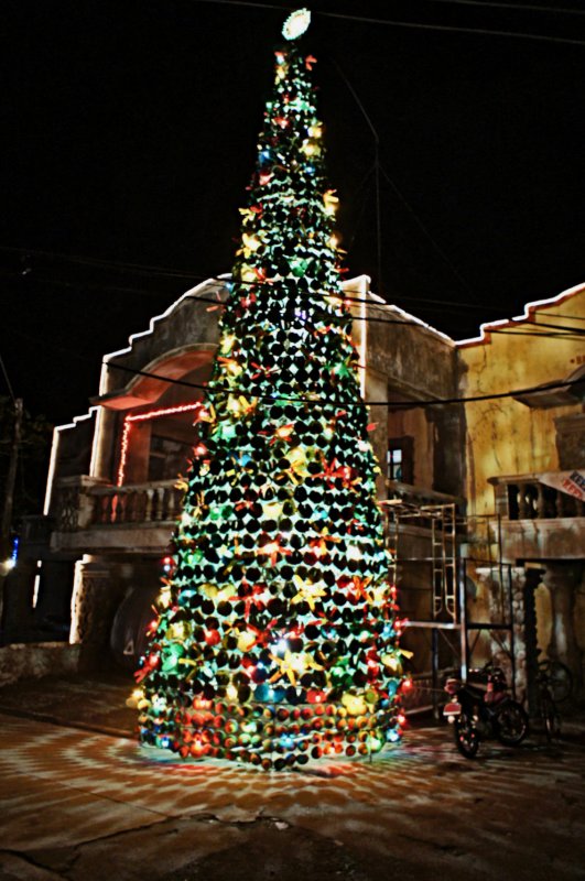 Basco Batanes Christmas Tree.jpg