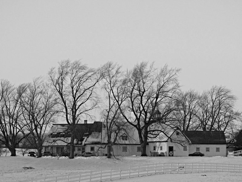 Illinois Winter.jpg