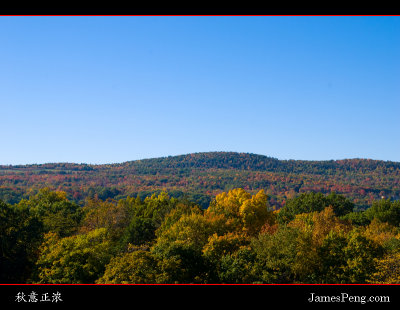 Autumn_NY_04.jpg