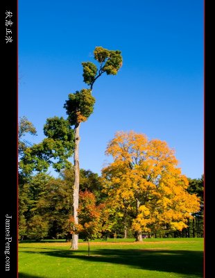Autumn_NY_07.jpg