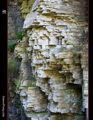 canada_impression_29.jpg