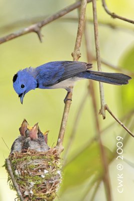 IMG_7860.jpg