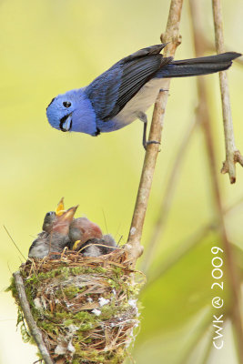 IMG_7865.jpg