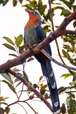 IMG_8783.jpg