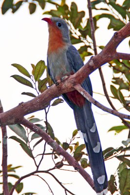 IMG_8787.jpg